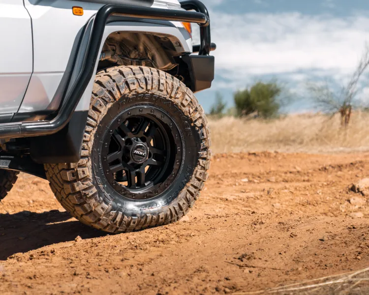 79 Series Landcruiser | Hammer