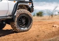 79 Series Landcruiser - Hammer