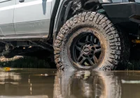 79 Series Landcruiser - Hammer