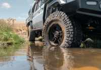 79 Series Landcruiser - Hammer