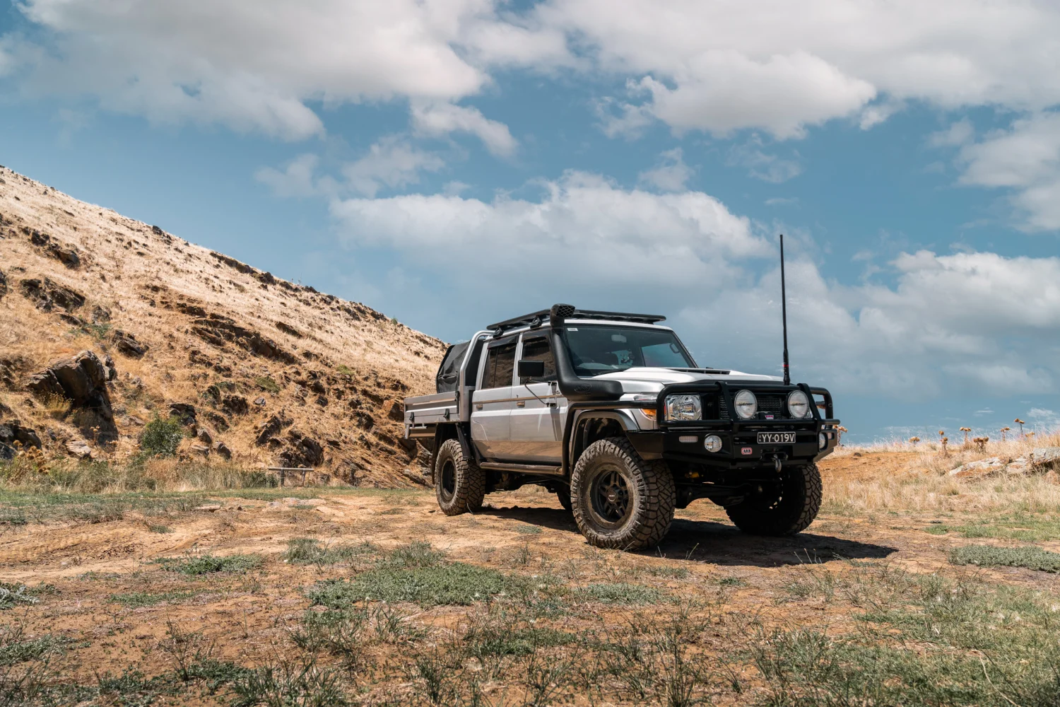 79 Series Landcruiser - Hammer