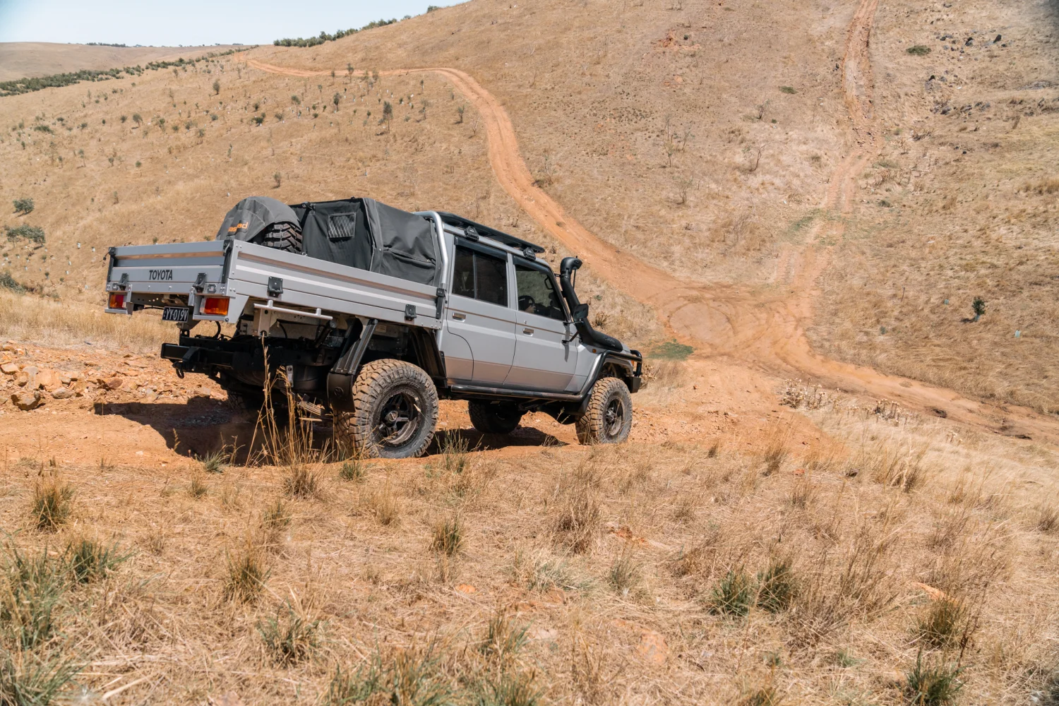 79 Series Landcruiser - Hammer