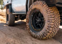 79 Series Landcruiser - Hammer