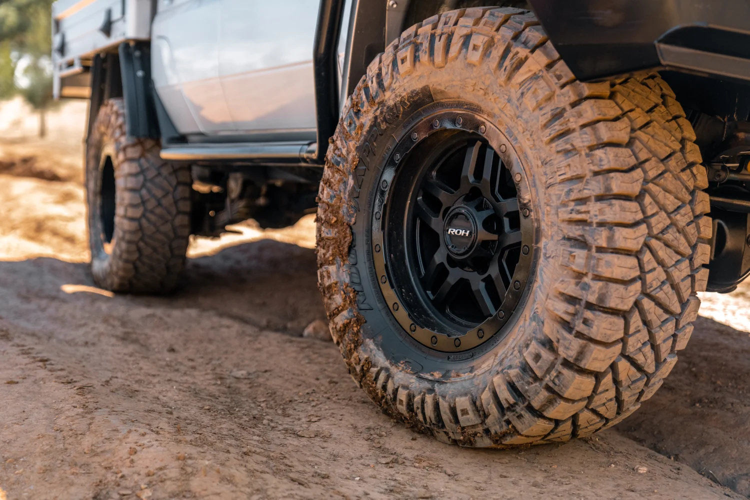 79 Series Landcruiser - Hammer