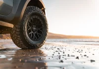 Ranger Raptor - Crawler