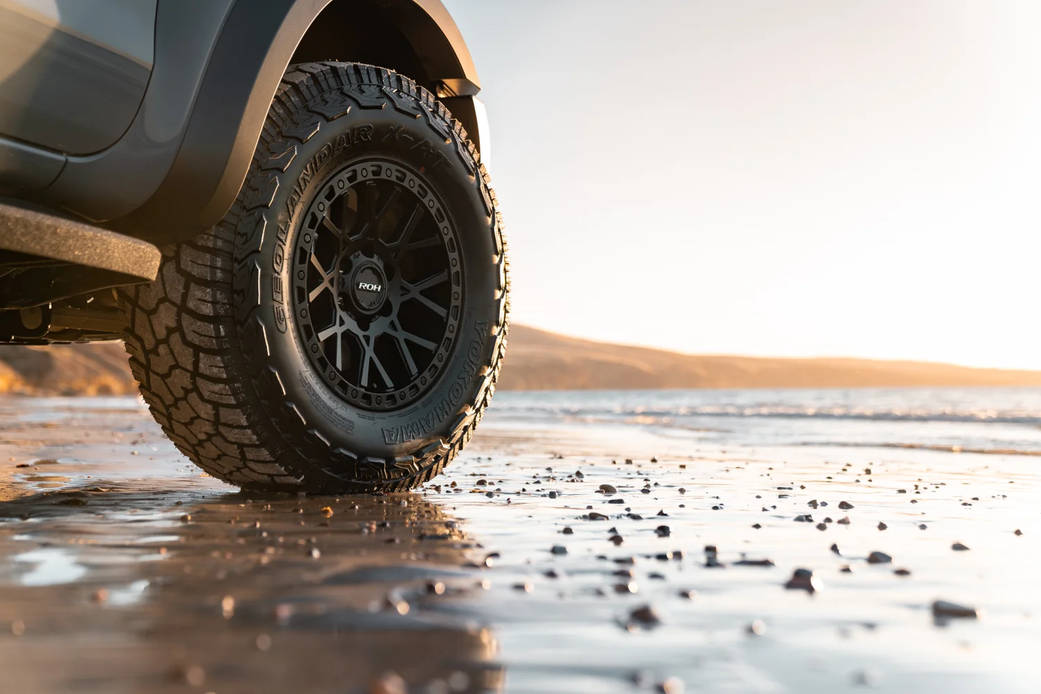 Ranger Raptor - Crawler