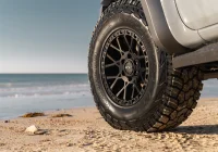 Ranger Raptor - Crawler